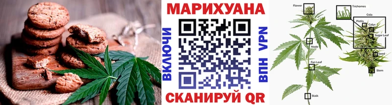 Canna-Cookies конопля  Купить  Фокино 